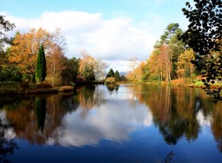 View of Tarn, Lake District