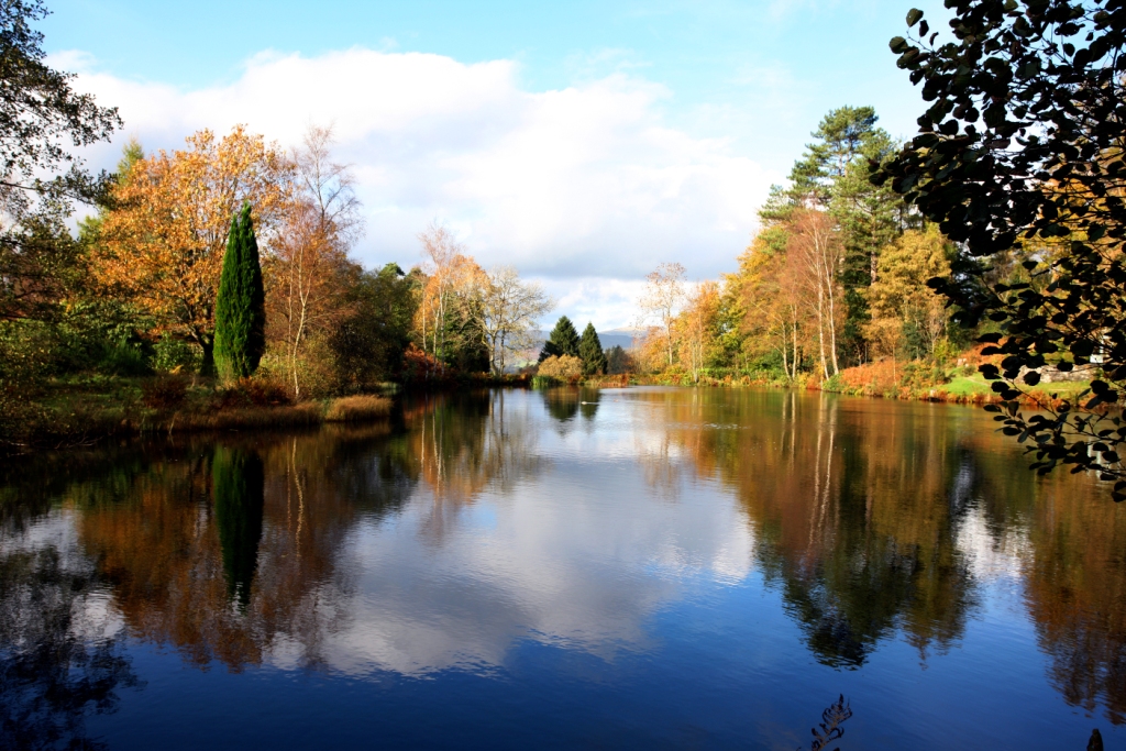 View of Tarn, Lake District